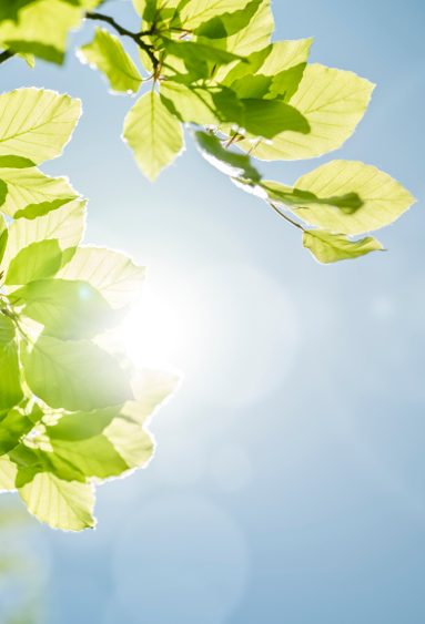 Semaine européenne du développement durable : demandez le programme ! 