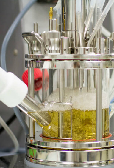 Solutions plastiques : des innovations prometteuses pour développer le recyclage